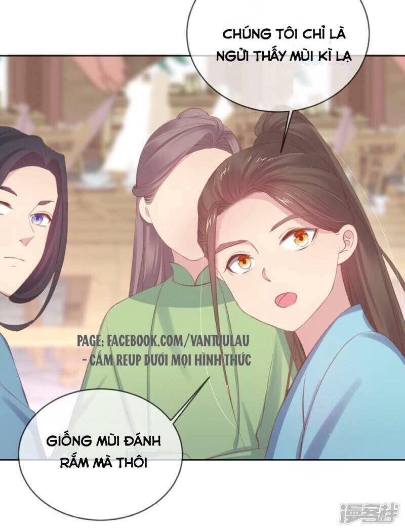 Thị Huyết Y Phi Chapter 47 - 13