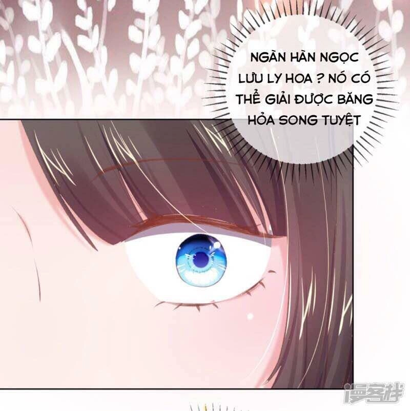 Thị Huyết Y Phi Chapter 54 - 19