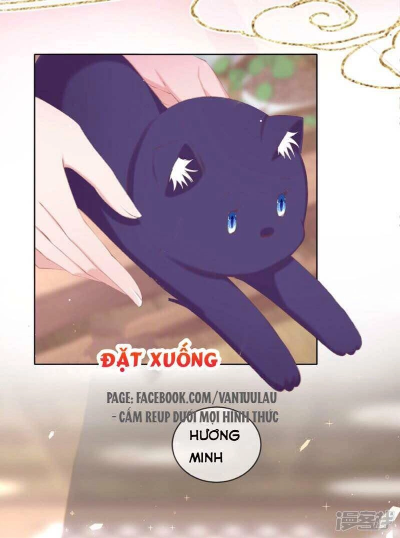 Thị Huyết Y Phi Chapter 54 - 22