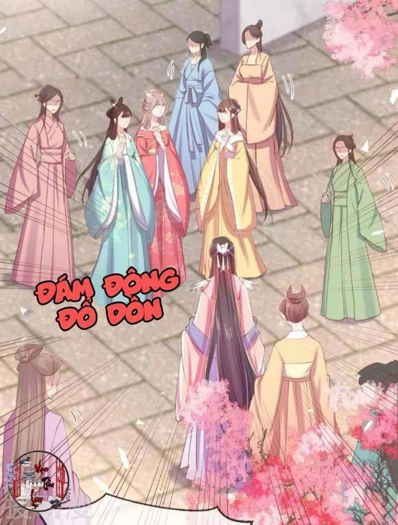 Thị Huyết Y Phi Chapter 57 - 34