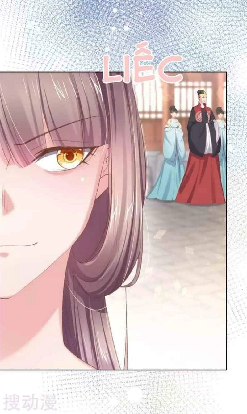 Thị Huyết Y Phi Chapter 58 - 12