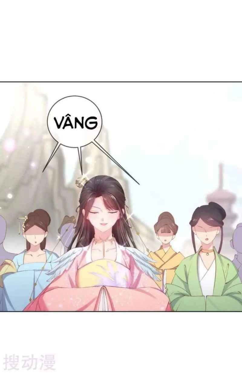 Thị Huyết Y Phi Chapter 58 - 24