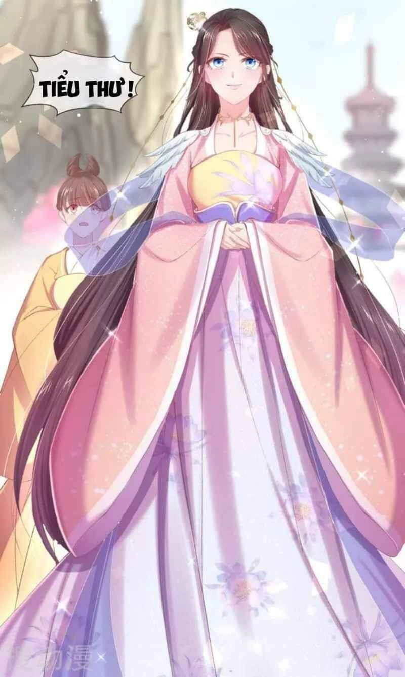 Thị Huyết Y Phi Chapter 58 - 27