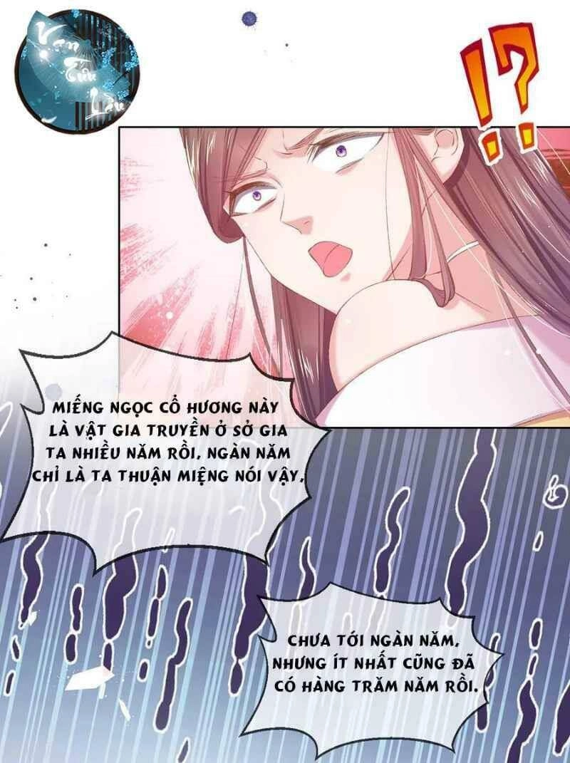 Thị Huyết Y Phi Chapter 60 - 12