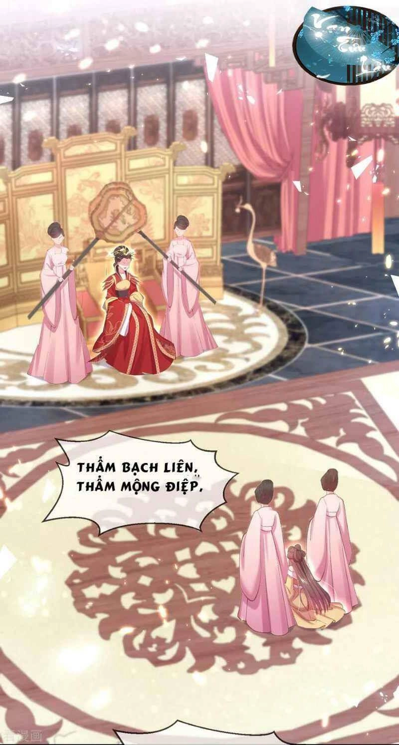 Thị Huyết Y Phi Chapter 60 - 25