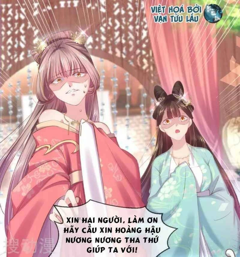 Thị Huyết Y Phi Chapter 61 - 11