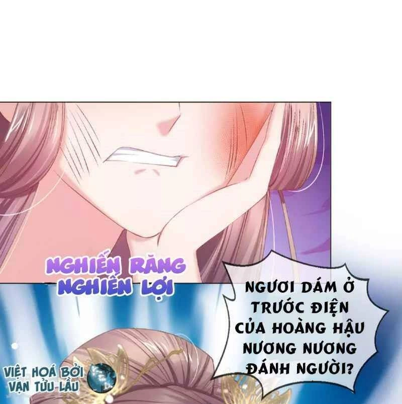 Thị Huyết Y Phi Chapter 62 - 5