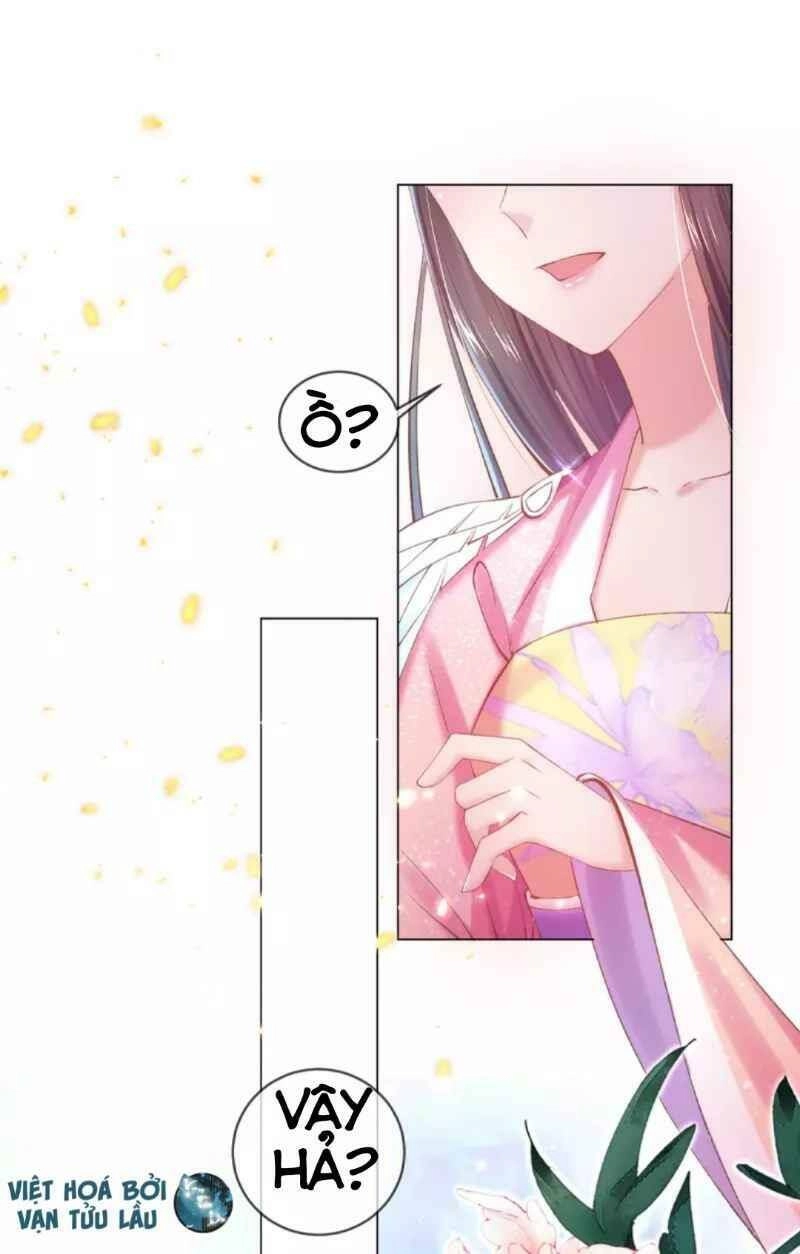 Thị Huyết Y Phi Chapter 62 - 7