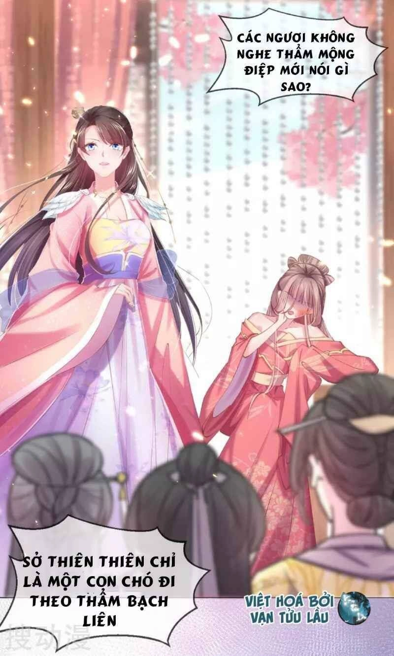 Thị Huyết Y Phi Chapter 62 - 15