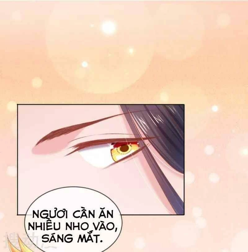 Thị Huyết Y Phi Chapter 64 - 28