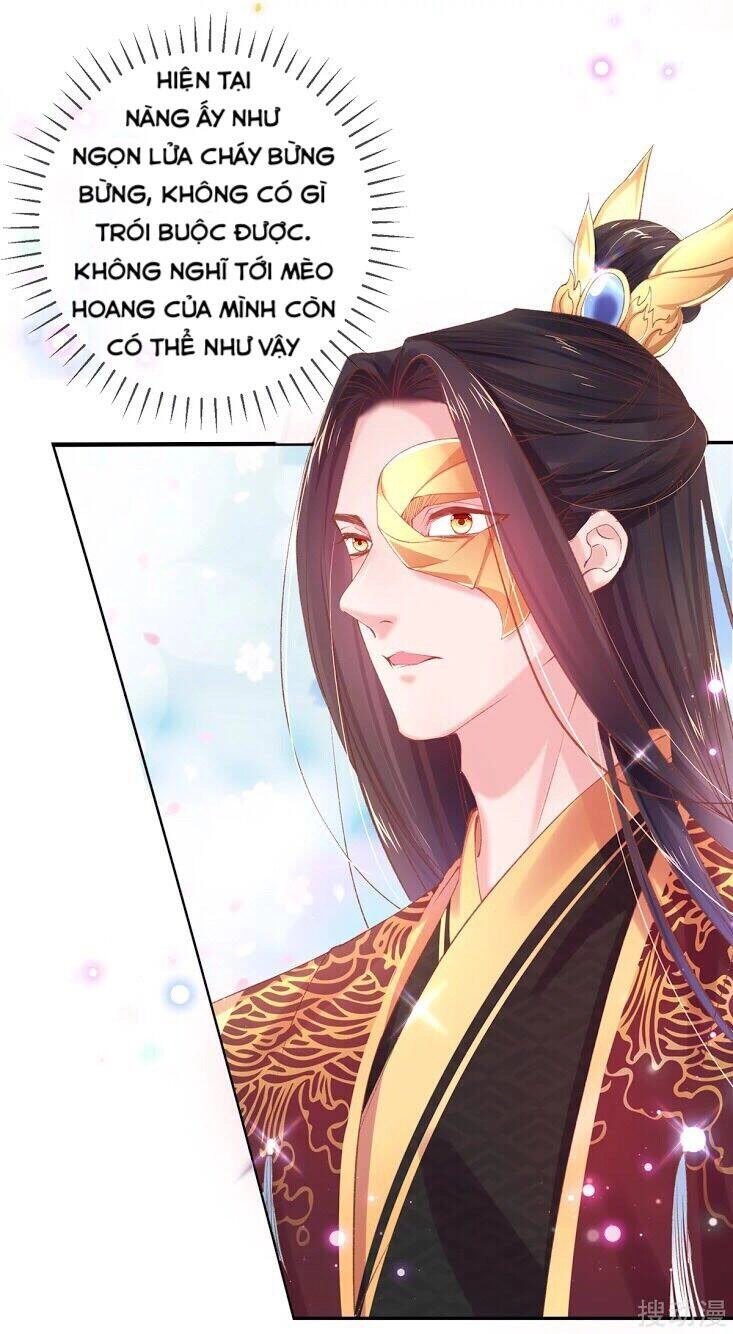 Thị Huyết Y Phi Chapter 66 - 22