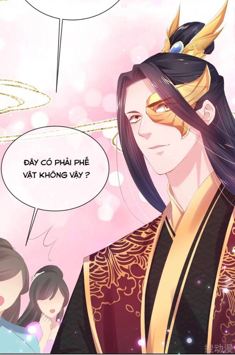 Thị Huyết Y Phi Chapter 66 - 42