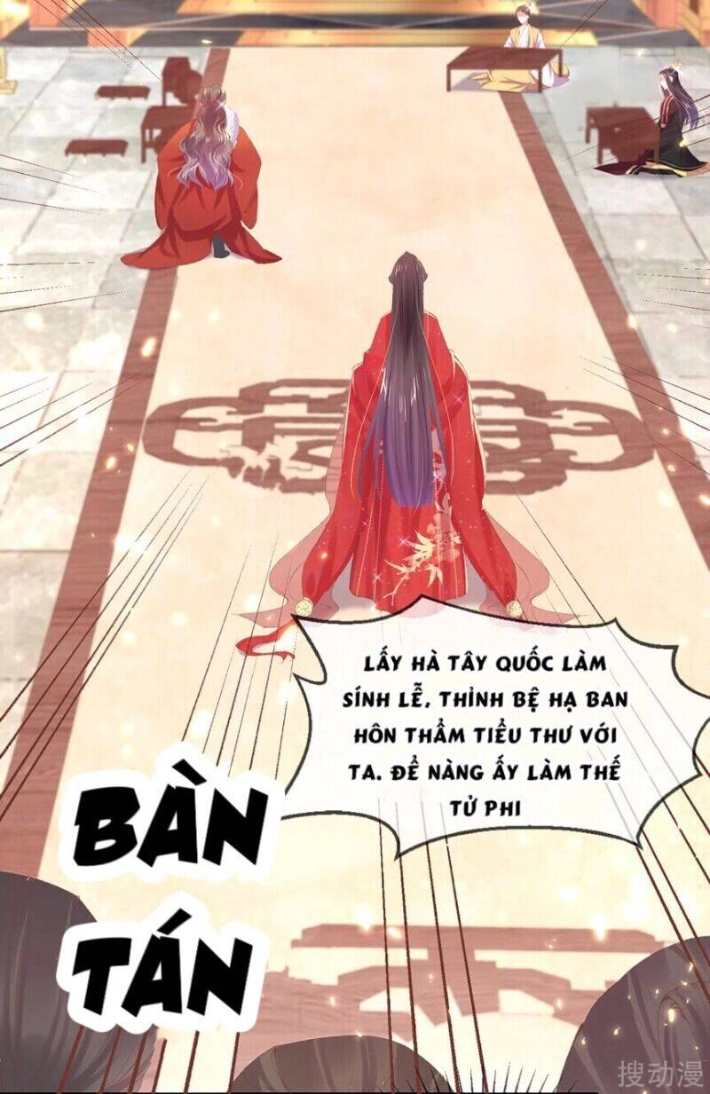 Thị Huyết Y Phi Chapter 66 - 50