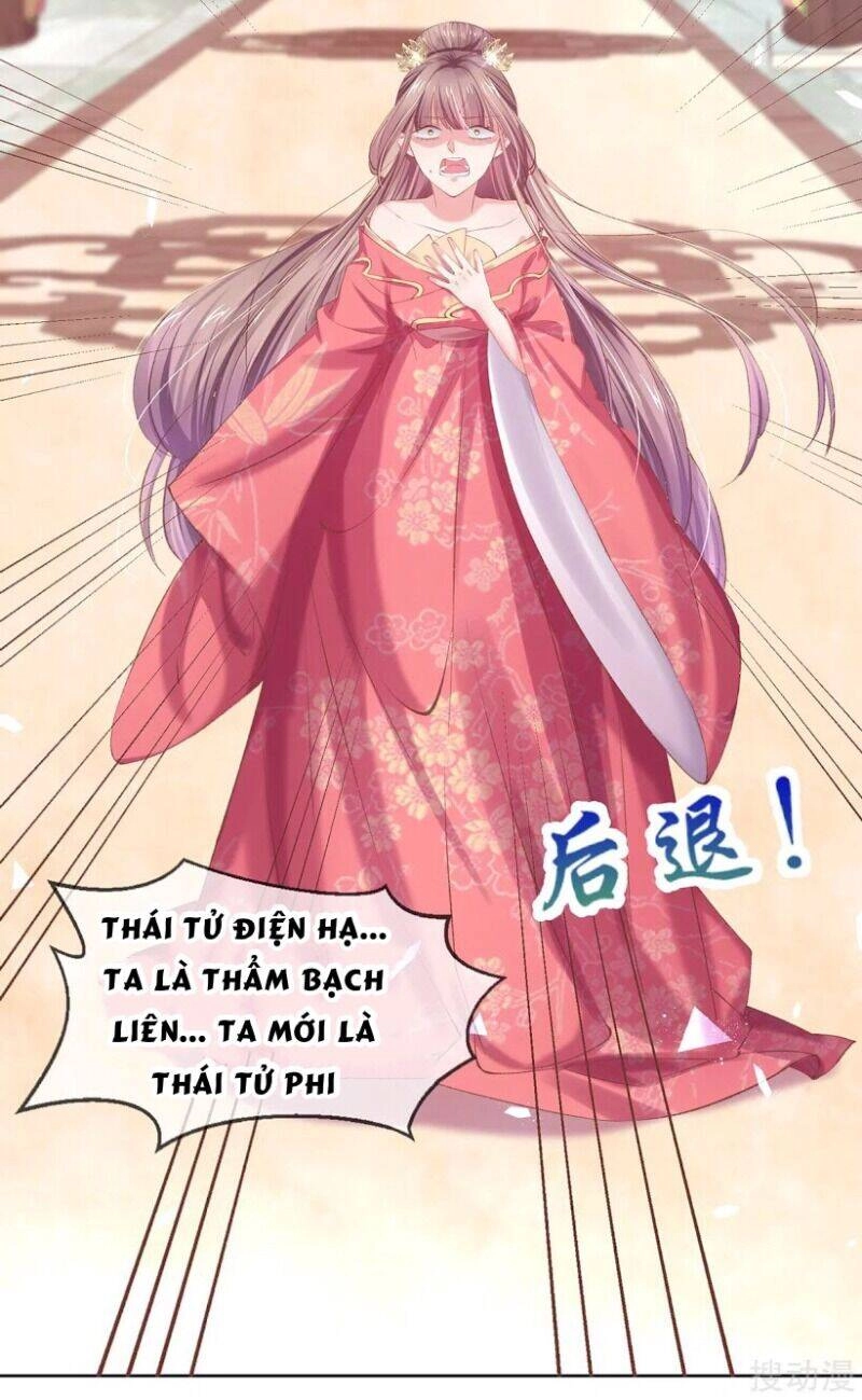 Thị Huyết Y Phi Chapter 67 - 8