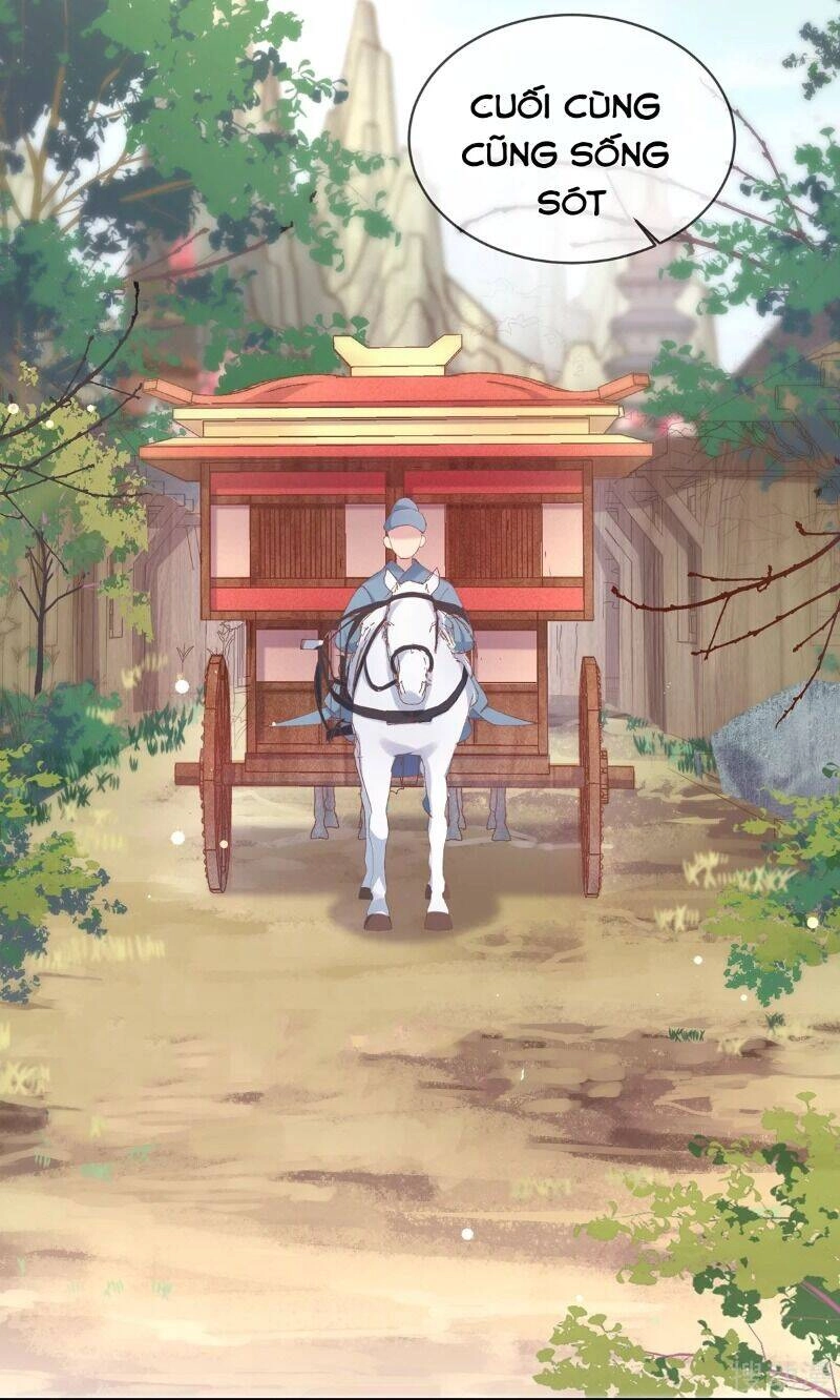 Thị Huyết Y Phi Chapter 69 - 10