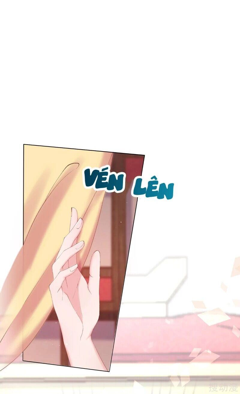 Thị Huyết Y Phi Chapter 69 - 19