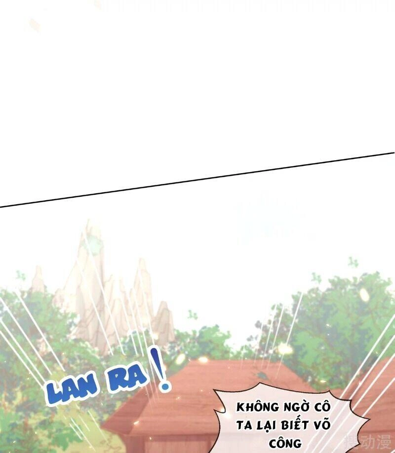 Thị Huyết Y Phi Chapter 70 - 12