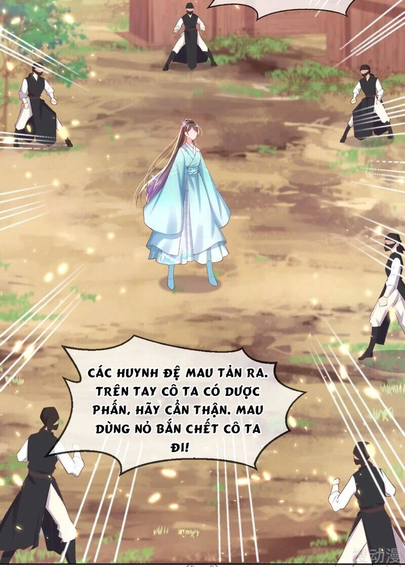 Thị Huyết Y Phi Chapter 70 - 13