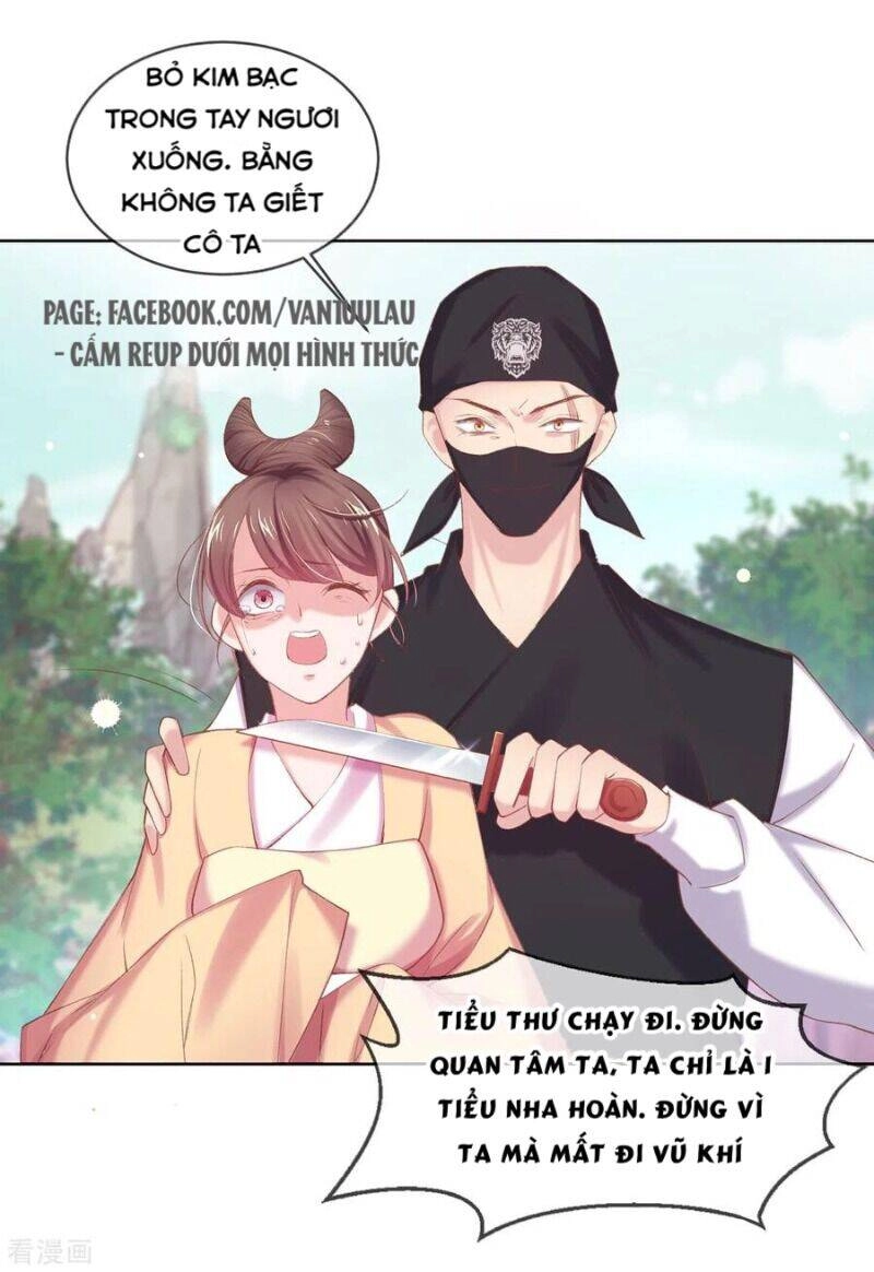 Thị Huyết Y Phi Chapter 71 - 1