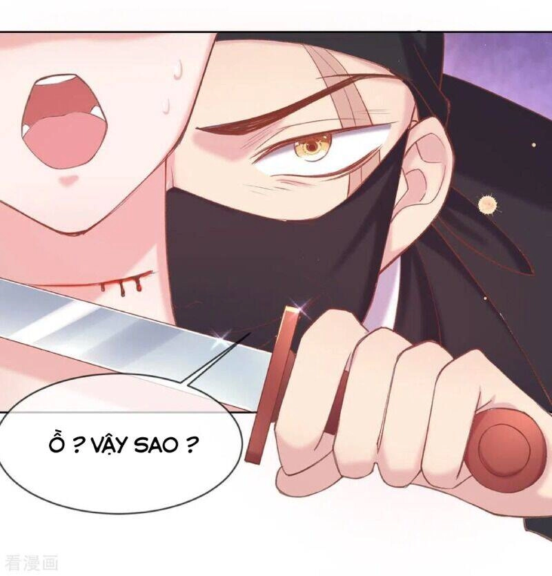 Thị Huyết Y Phi Chapter 71 - 3