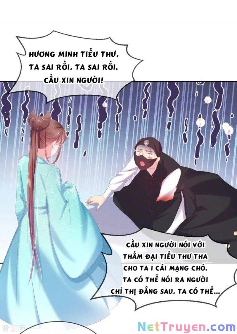 Thị Huyết Y Phi Chapter 74 - 9