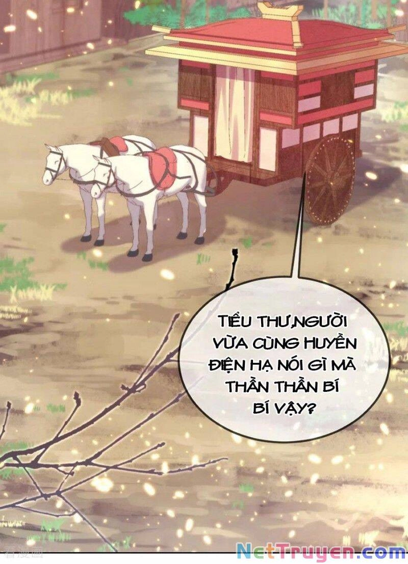 Thị Huyết Y Phi Chapter 76 - 2