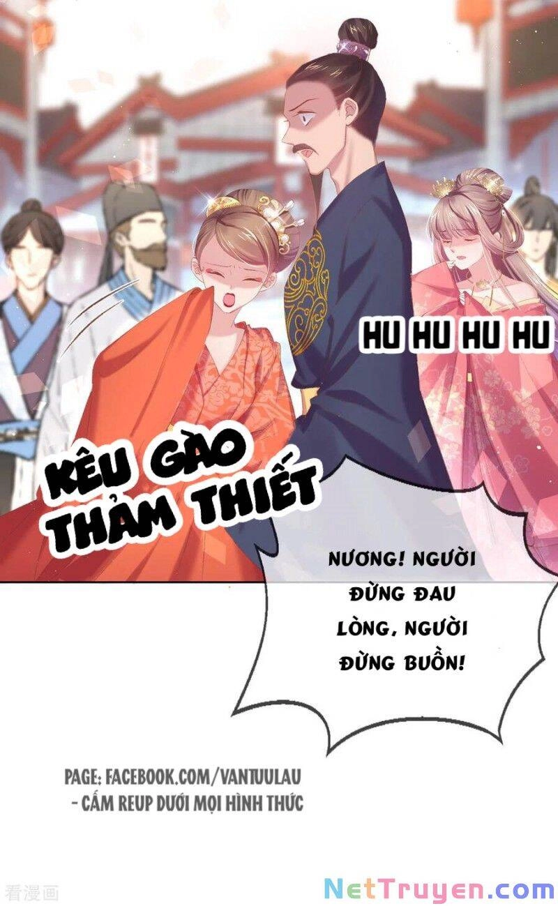 Thị Huyết Y Phi Chapter 78 - 4