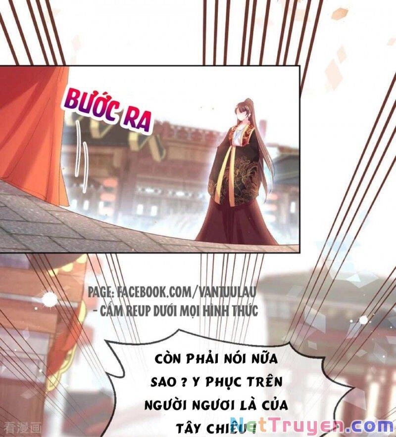 Thị Huyết Y Phi Chapter 79 - 2