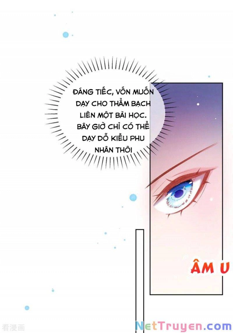 Thị Huyết Y Phi Chapter 79 - 4