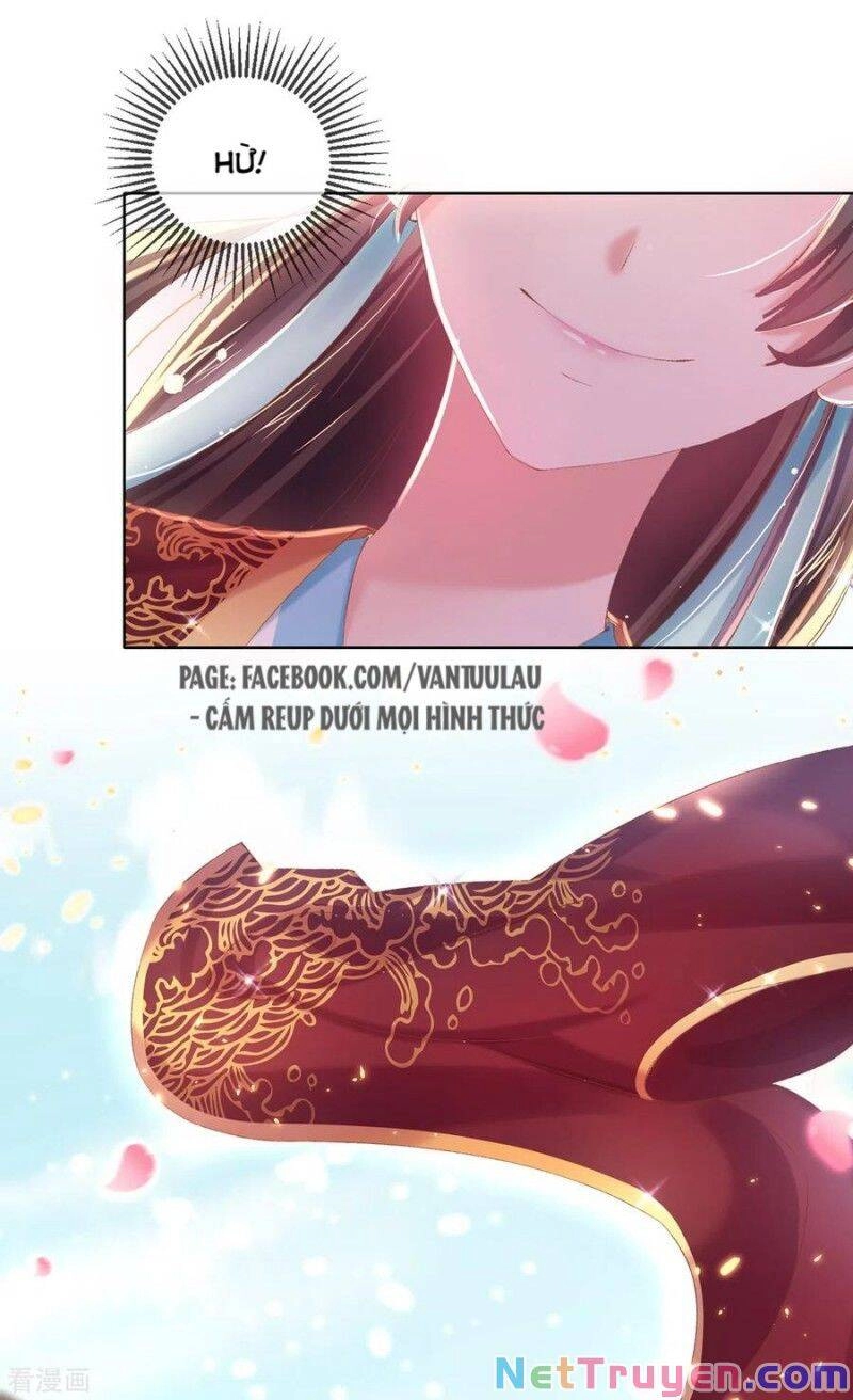 Thị Huyết Y Phi Chapter 79 - 10