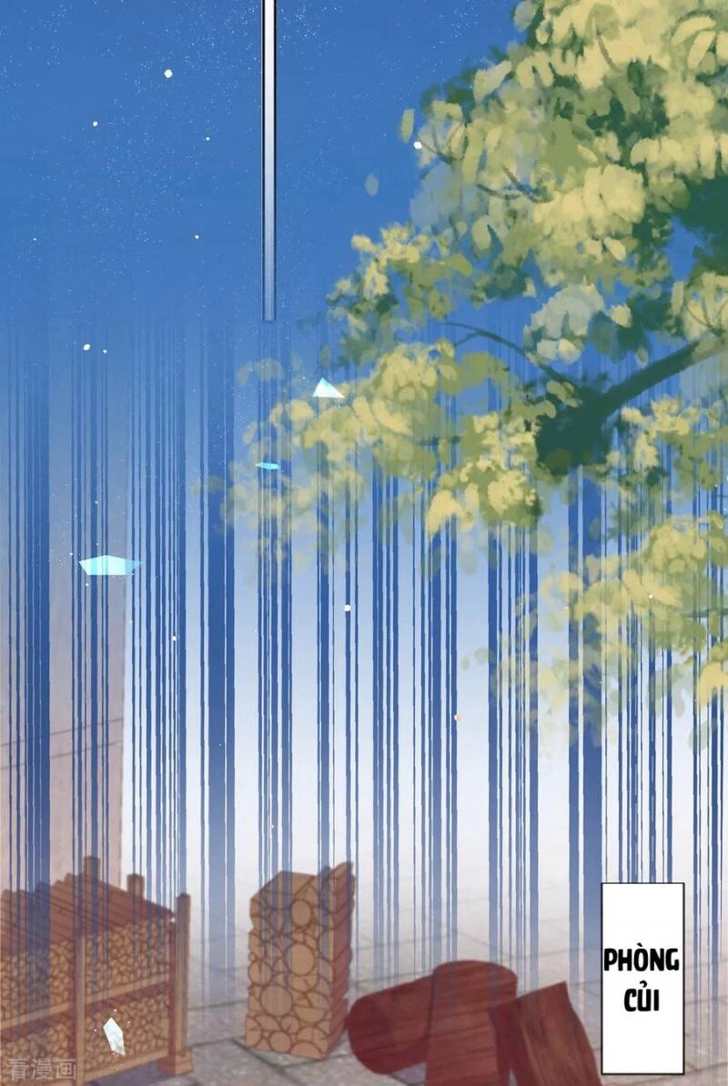 Thị Huyết Y Phi Chapter 81 - 2