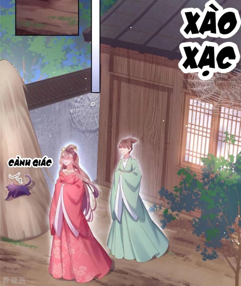 Thị Huyết Y Phi Chapter 81 - 17