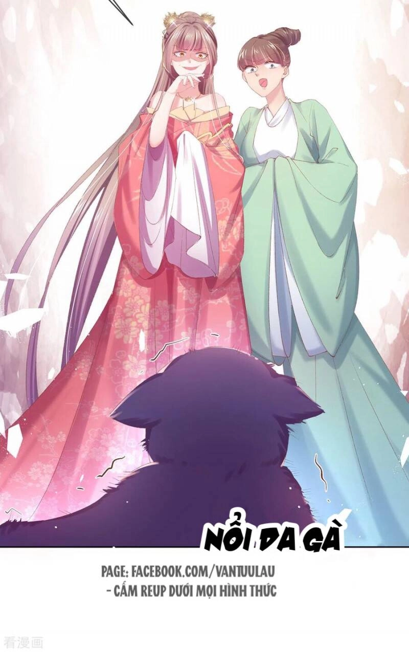 Thị Huyết Y Phi Chapter 81 - 21