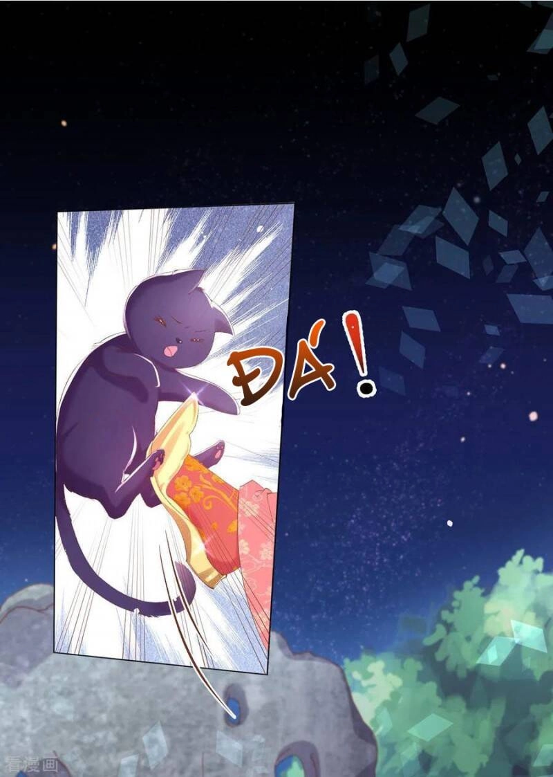 Thị Huyết Y Phi Chapter 82 - 1