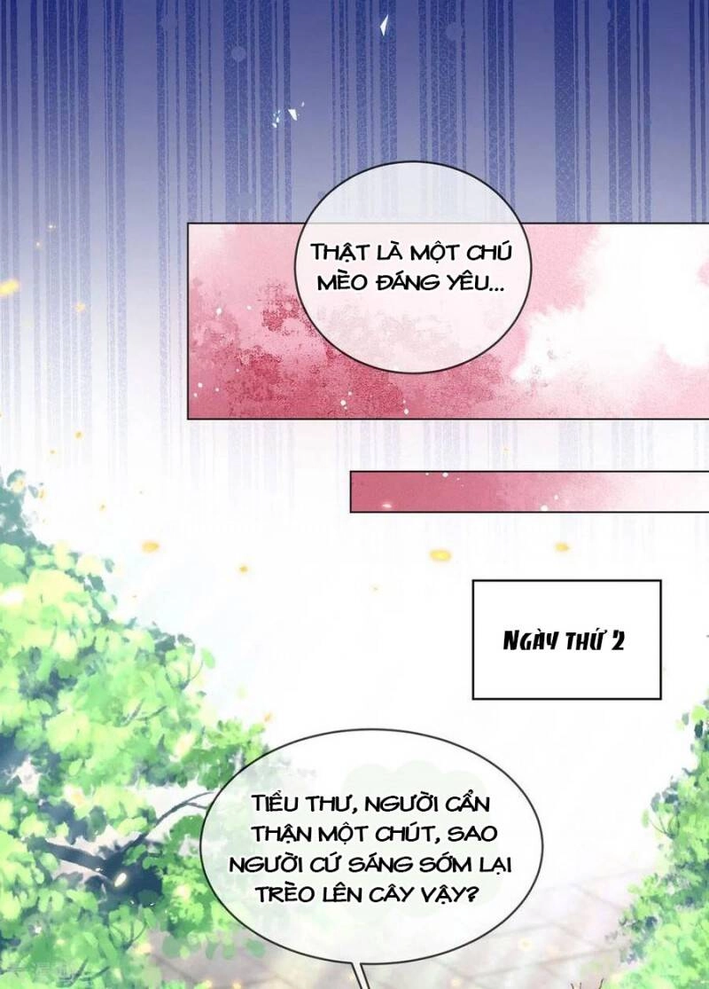 Thị Huyết Y Phi Chapter 82 - 5