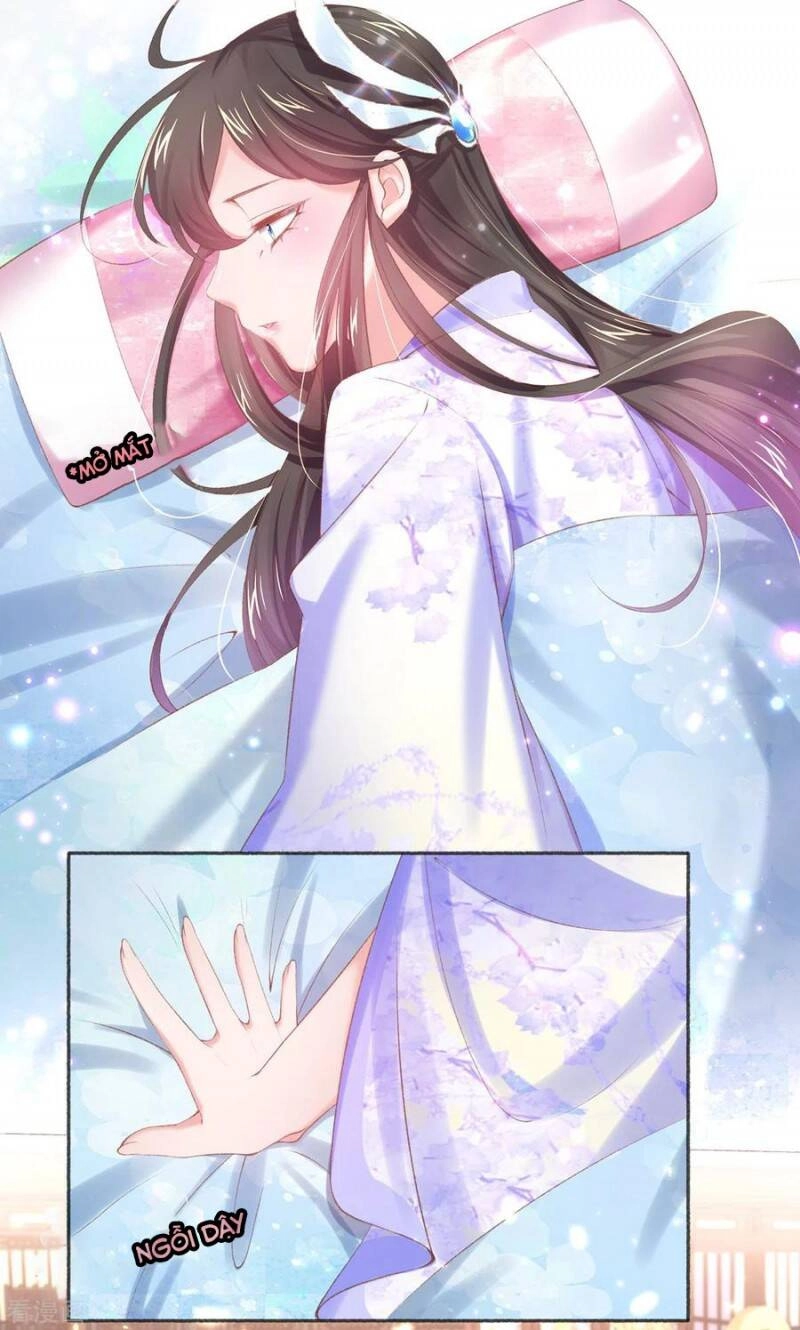 Thị Huyết Y Phi Chapter 88 - 6