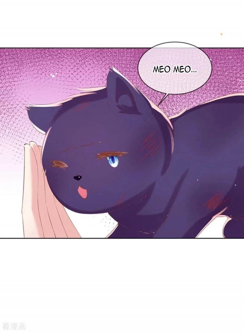 Thị Huyết Y Phi Chapter 89 - 1