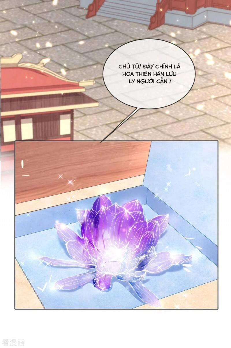 Thị Huyết Y Phi Chapter 94 - 16