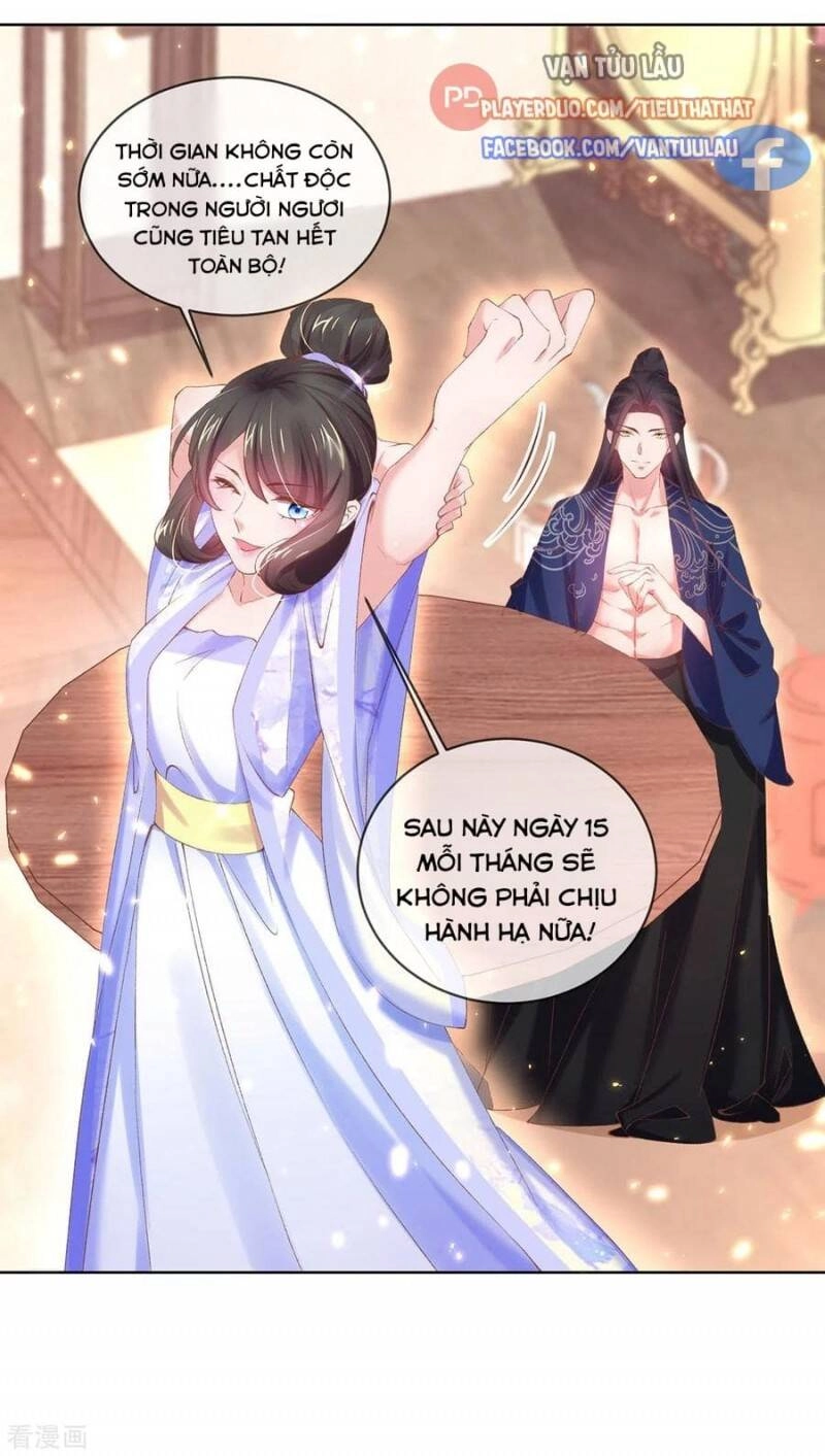 Thị Huyết Y Phi Chapter 98 - 1