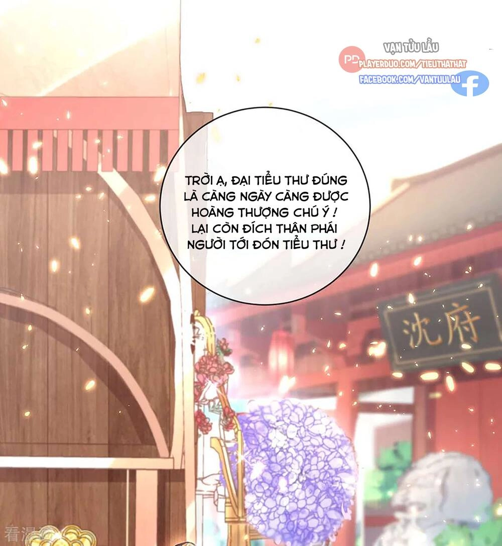 Thị Huyết Y Phi Chapter 99 - 13