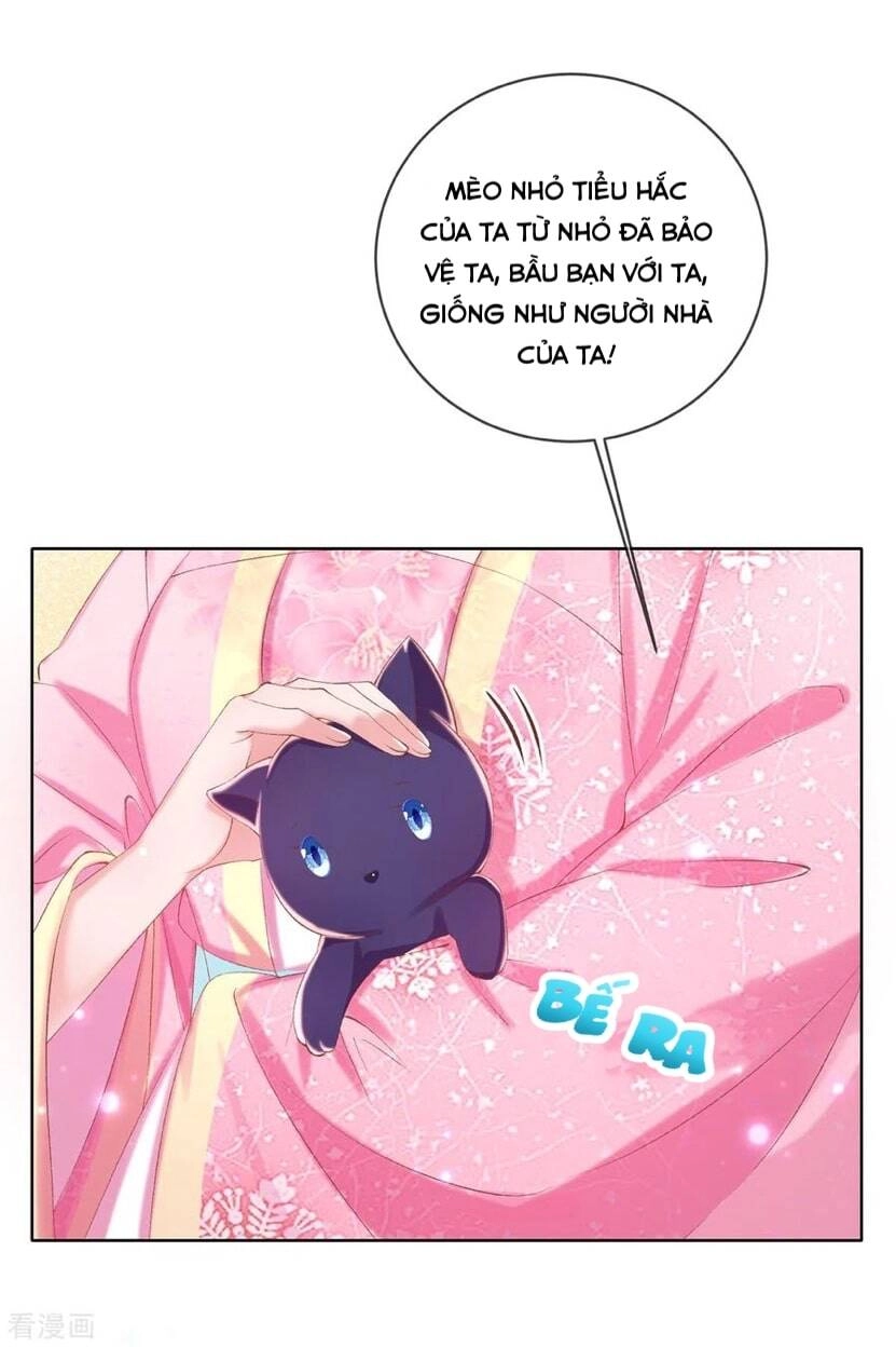 Thị Huyết Y Phi Chapter 104 - 9