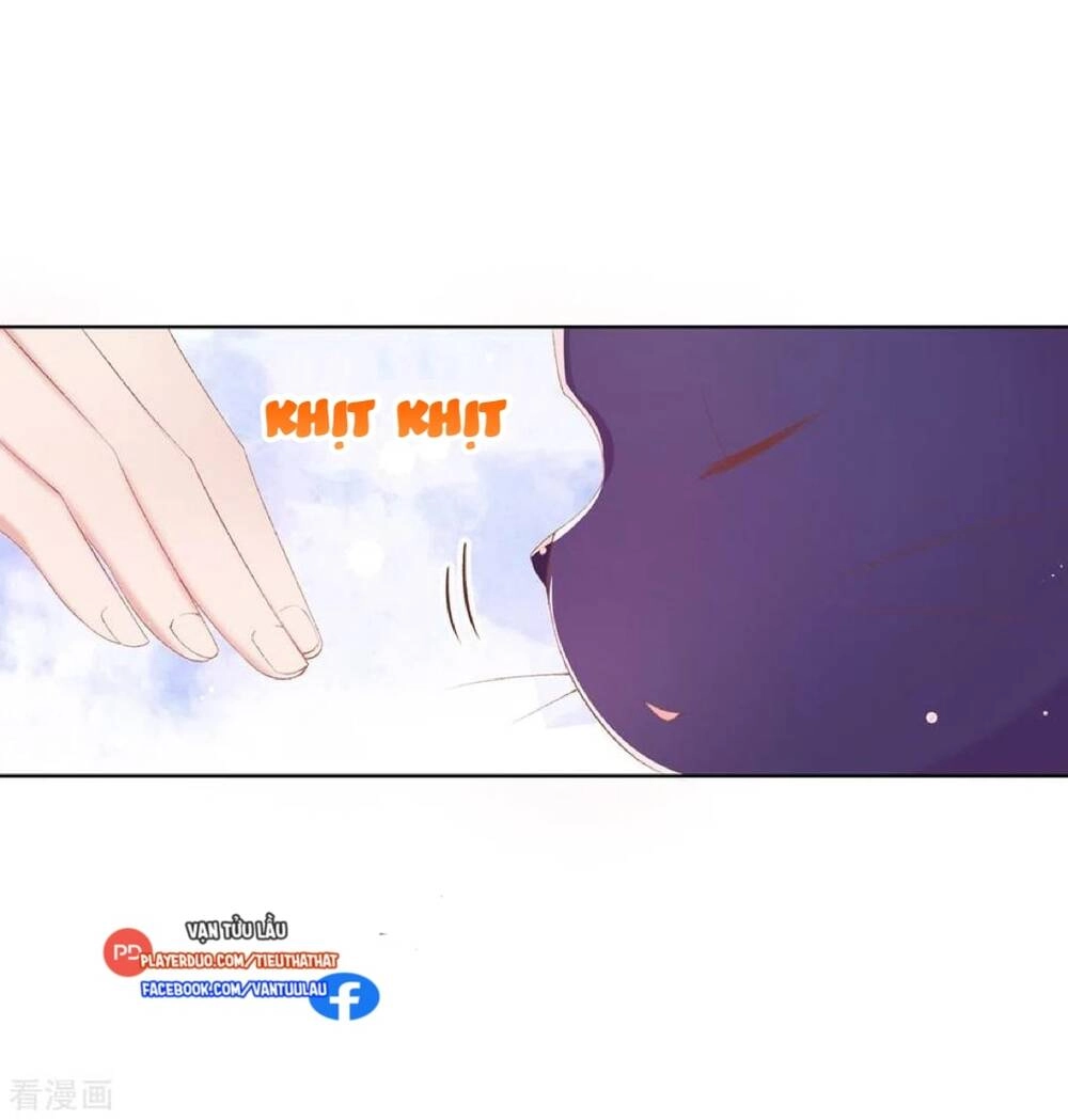 Thị Huyết Y Phi Chapter 104 - 17