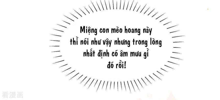 Thị Huyết Y Phi Chapter 106 - 4