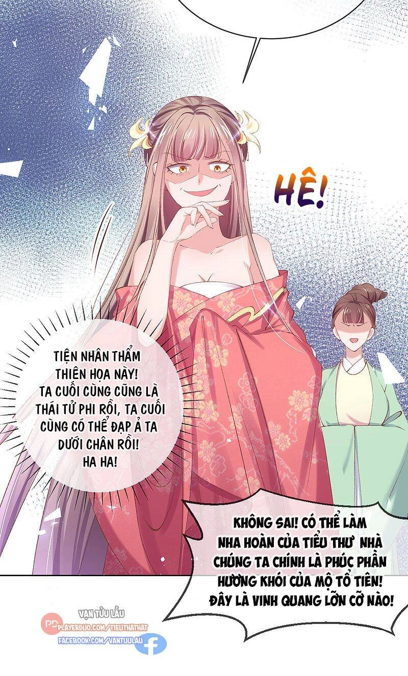 Thị Huyết Y Phi Chapter 107 - 6