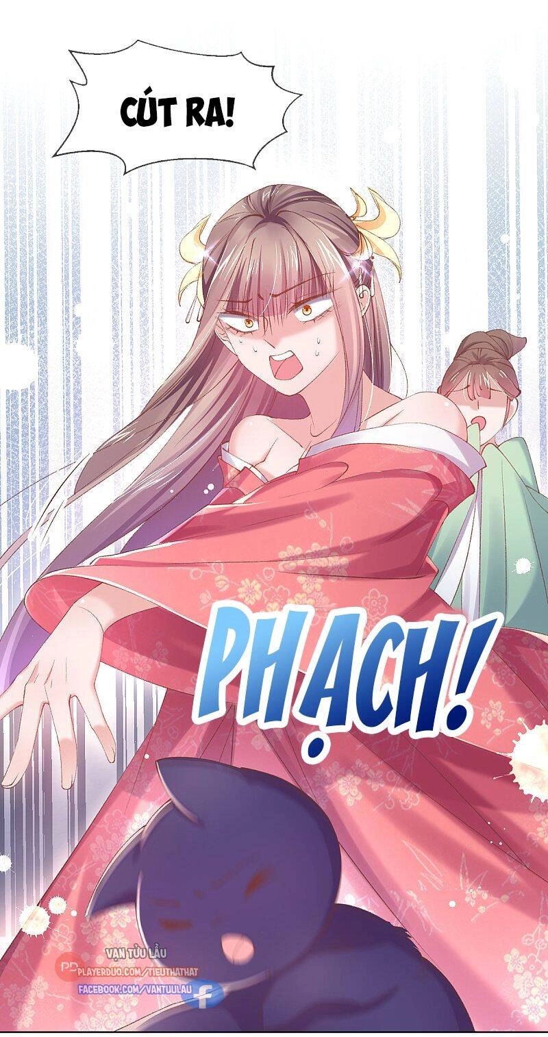 Thị Huyết Y Phi Chapter 107 - 11