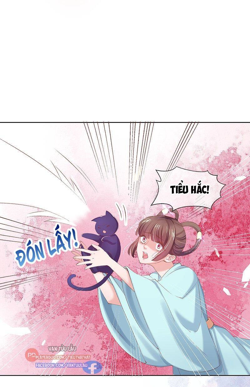 Thị Huyết Y Phi Chapter 107 - 12