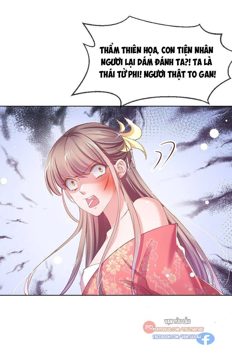 Thị Huyết Y Phi Chapter 108 - 1