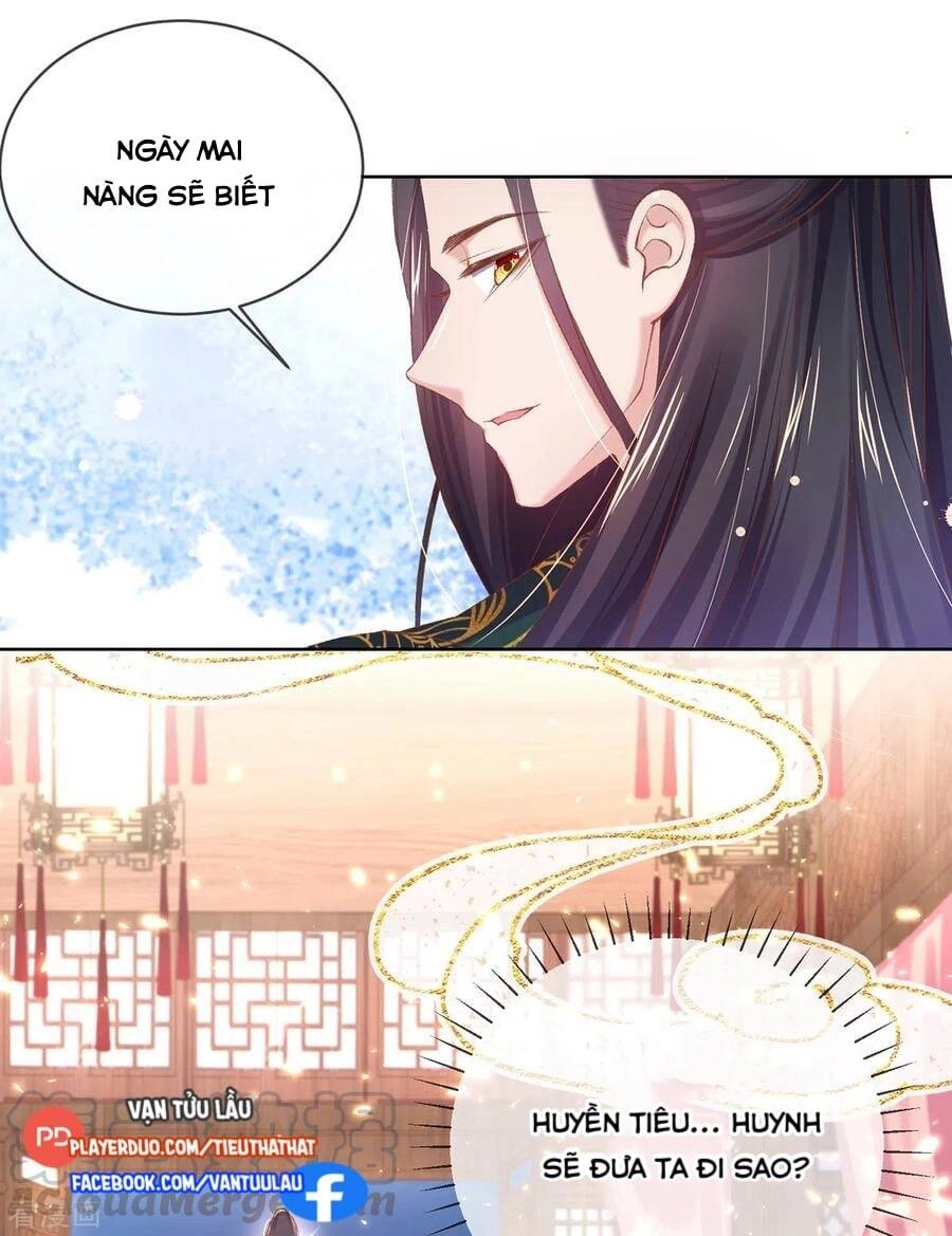 Thị Huyết Y Phi Chapter 111 - 4