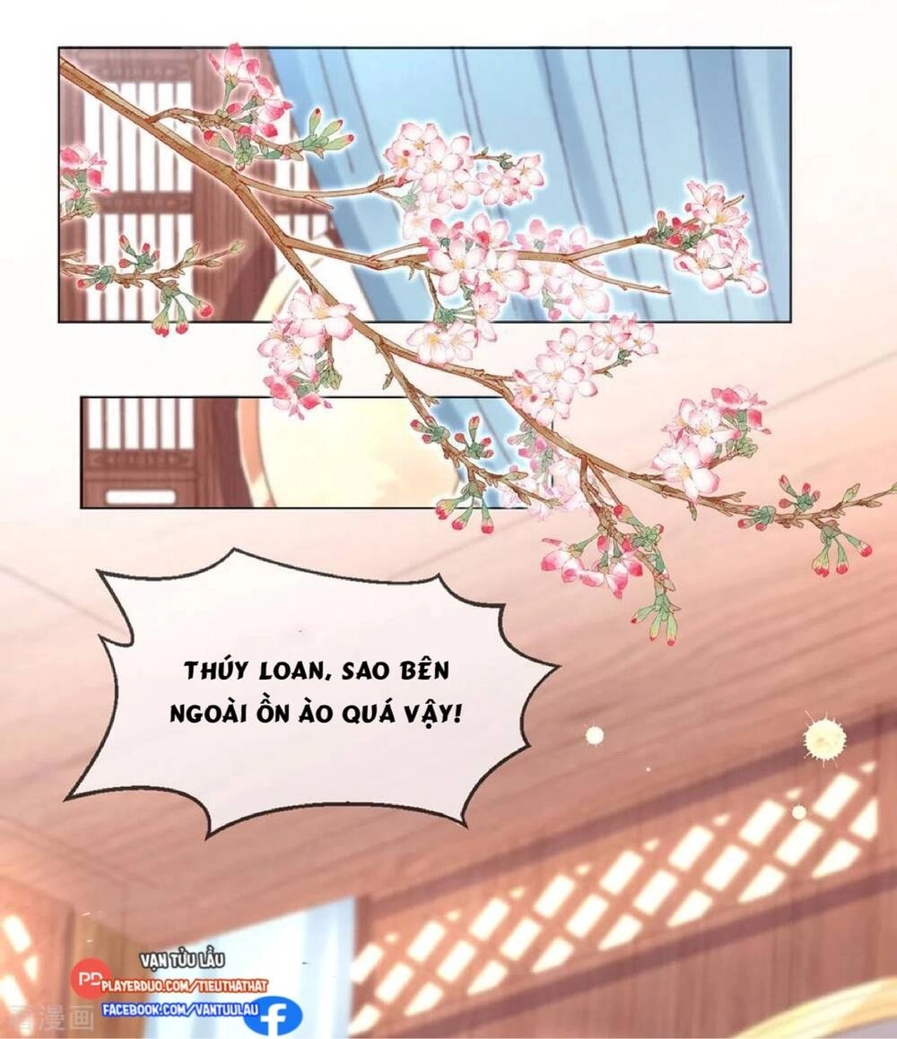 Thị Huyết Y Phi Chapter 111 - 11