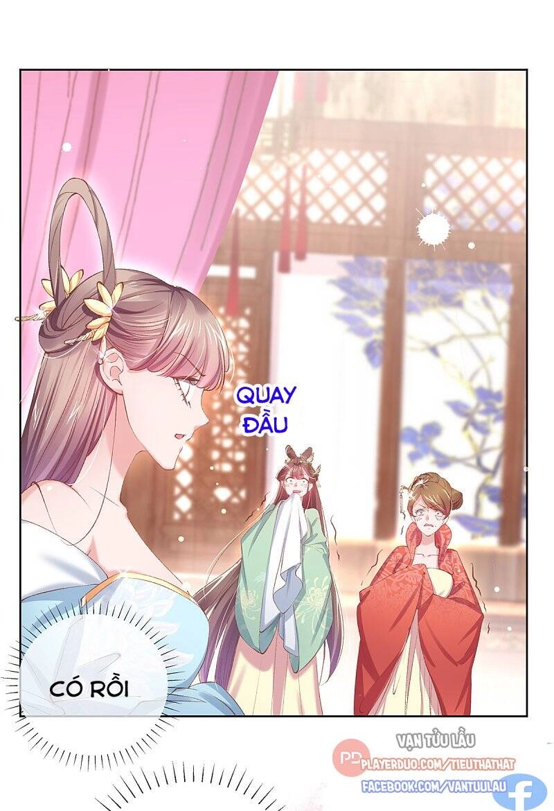 Thị Huyết Y Phi Chapter 113 - 1